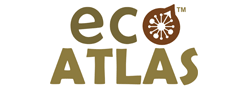 Ethical Branding and Website Design - Eco Atlas