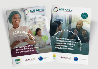 ICLEI – ACE Africa